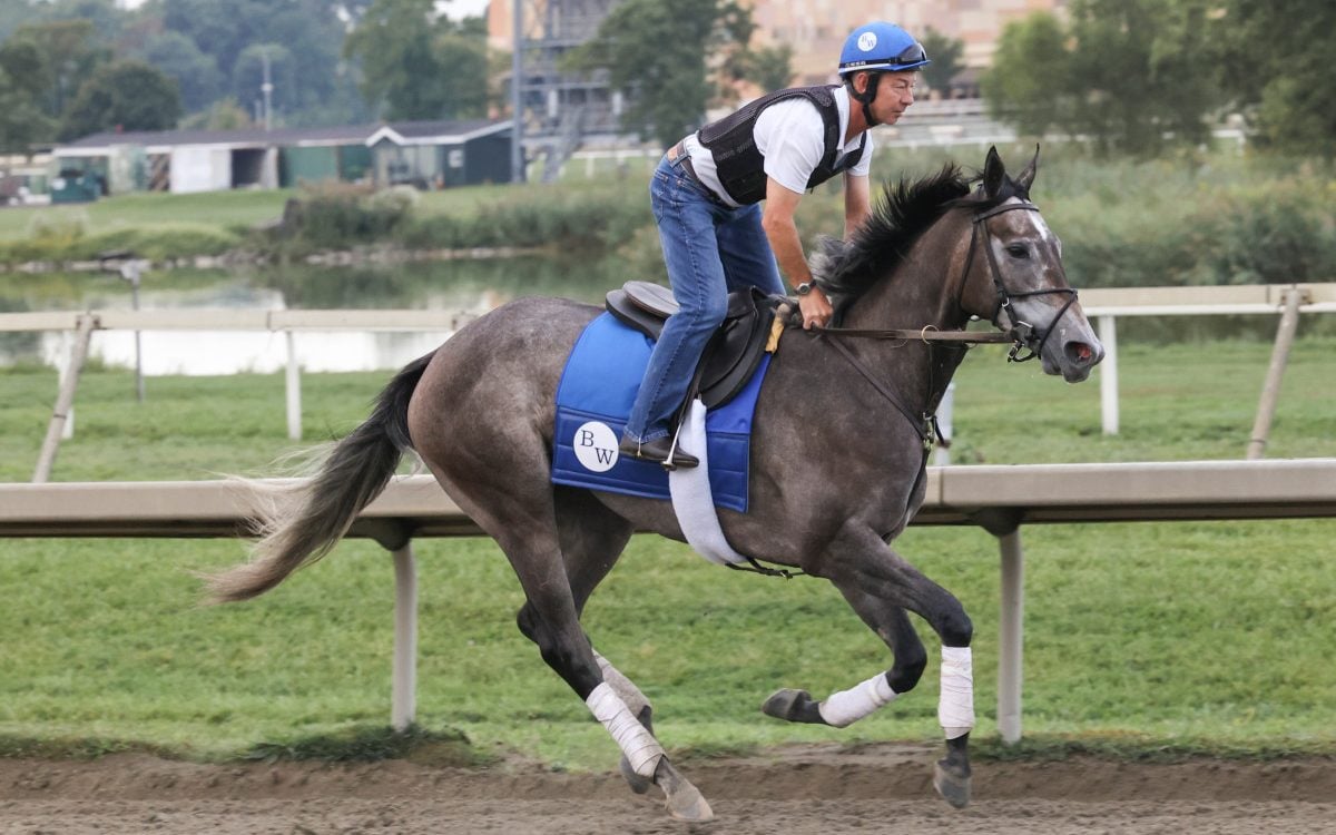 2025 Cotillion Stakes