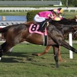 Sensational Saudi Cup: Forever Young Edges Romantic Warrior