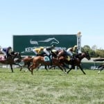 Sensational Saudi Cup: Forever Young Edges Romantic Warrior