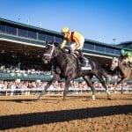 Sensational Saudi Cup: Forever Young Edges Romantic Warrior