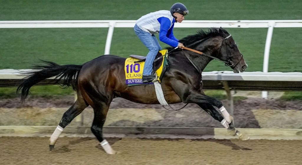 sovereignty the morning line odds favorite racing