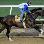 Sensational Saudi Cup: Forever Young Edges Romantic Warrior