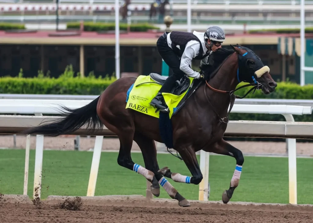 baeza with a jockey on him running in a race