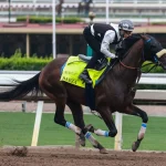 Sensational Saudi Cup: Forever Young Edges Romantic Warrior