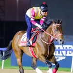Sensational Saudi Cup: Forever Young Edges Romantic Warrior