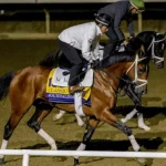 Sensational Saudi Cup: Forever Young Edges Romantic Warrior