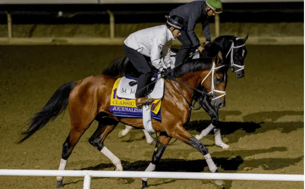 journalism with a jockey on him running training, there is another horse next to him