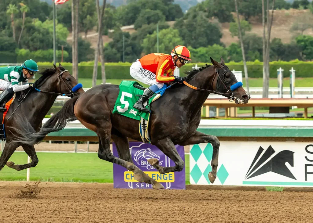 nevada beach with a jockey on him running in a race