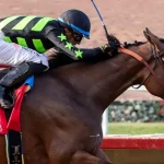 Sensational Saudi Cup: Forever Young Edges Romantic Warrior