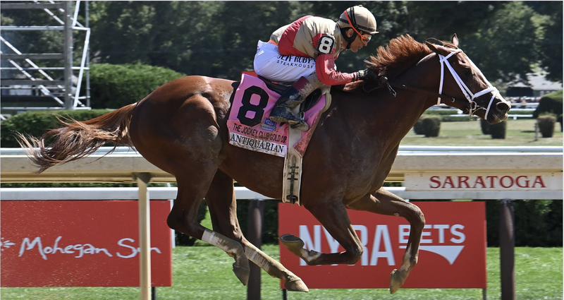 Breeders’ Cup Contender Profile: Antiquarian. US Racing, all you need for every race. Expert Analysis, Best Picks and the Best Odds.