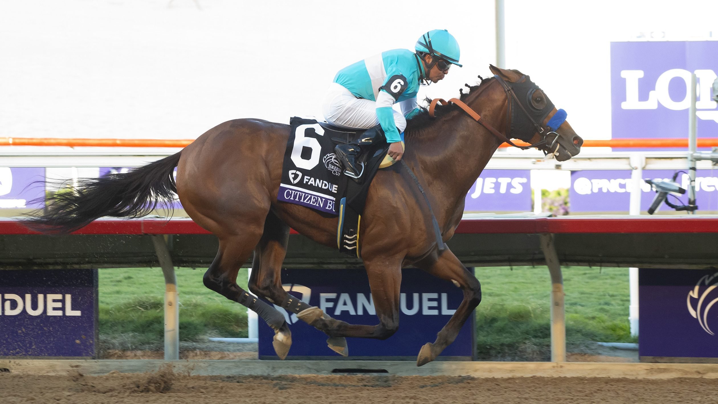 Breeders’ Cup Juvenile Betting, Trends, History. US Racing, all you need for every race, expert picks and the Official Odds.