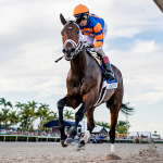 Sensational Saudi Cup: Forever Young Edges Romantic Warrior