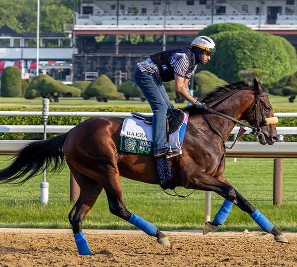Breeders' Cup Classic Contender: Baeza
