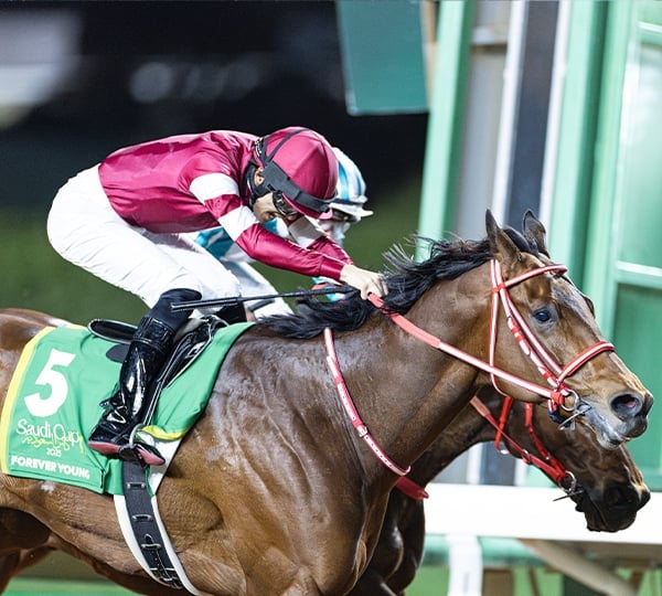 Breeders' Cup Classic Contender: Forever Young