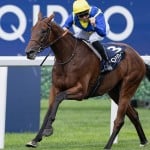 Sensational Saudi Cup: Forever Young Edges Romantic Warrior