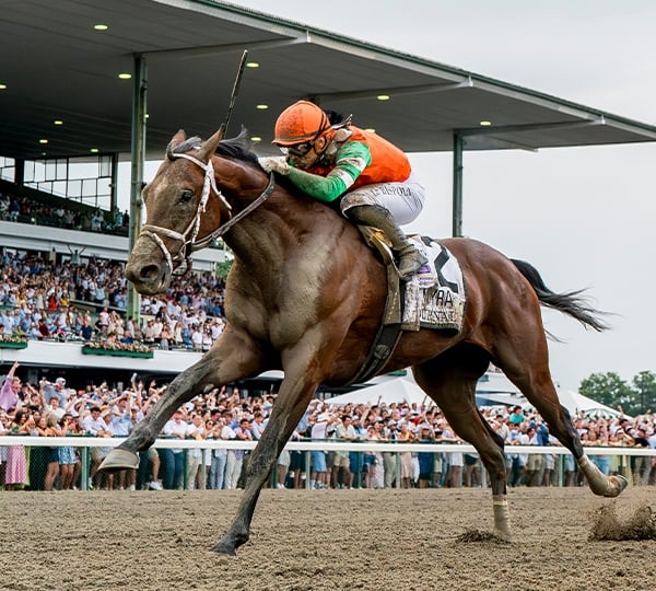 Breeders' Cup Classic Contender: Journalism