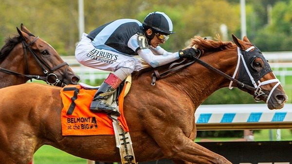 Breeders’ Cup News: Locked, Withdrawn, and Retired. US Racing, all you need for every race, Expert Picks, Official Odds and Breaking News