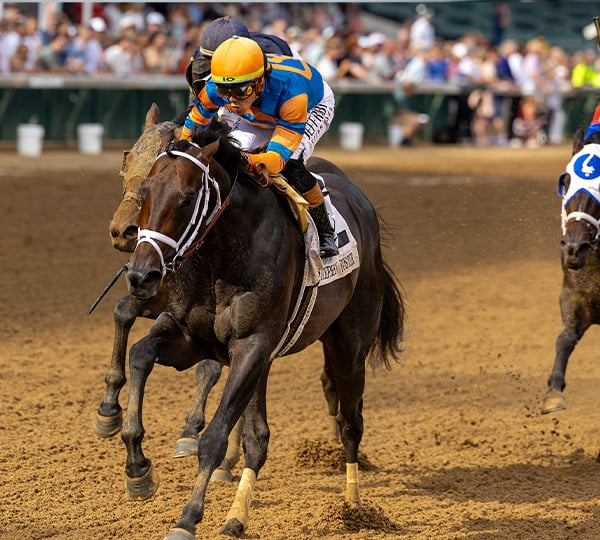 Breeders' Cup Classic Contender: Mindframe