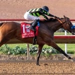 Sensational Saudi Cup: Forever Young Edges Romantic Warrior