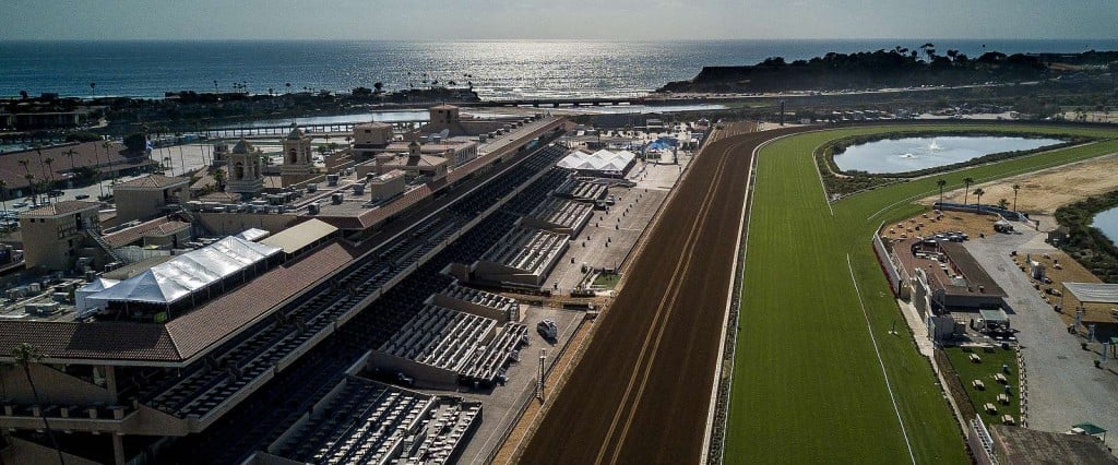 Breeders’ Cup 2025: Del Mar Track Trends & Betting Analysis. US Racing, all you need for every race.
