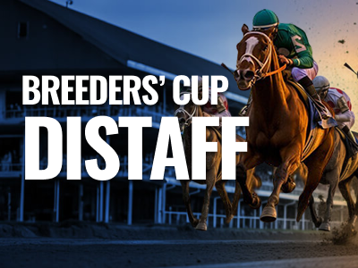 Breeders' Cup Distaff: Schedule, Odds, Past Champions & Analysis. US Racing, all you need for Every Race, Expert Picks and Odds.