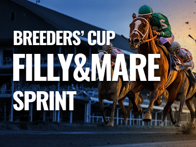 Breeders' Cup Filly & Mare Sprint: Runners, Final Odds, and Analysis. US Racing, all you need for Every Race, Expert Picks and Odds.