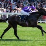 Sensational Saudi Cup: Forever Young Edges Romantic Warrior