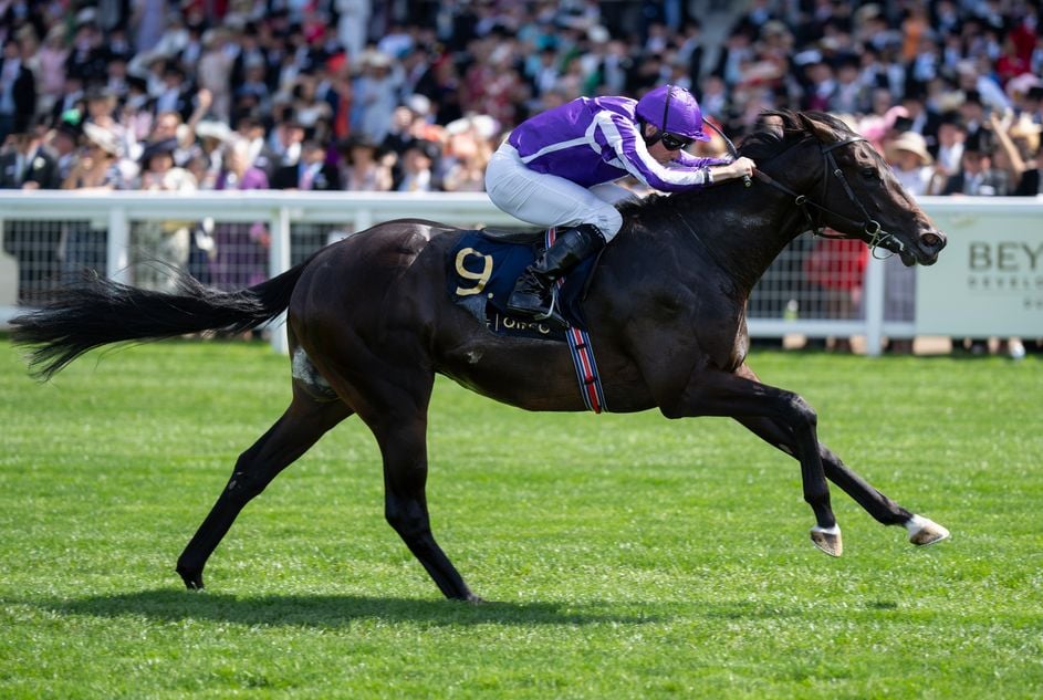 Breeders' Cup Juvenile Turf: Horse by Horse Analysis. US Racing, all you need for Every Race, Expert Picks, and Official Odds.