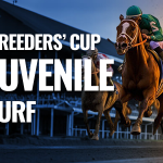 Sensational Saudi Cup: Forever Young Edges Romantic Warrior