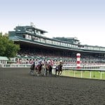 Sensational Saudi Cup: Forever Young Edges Romantic Warrior