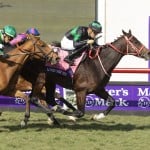 Sensational Saudi Cup: Forever Young Edges Romantic Warrior