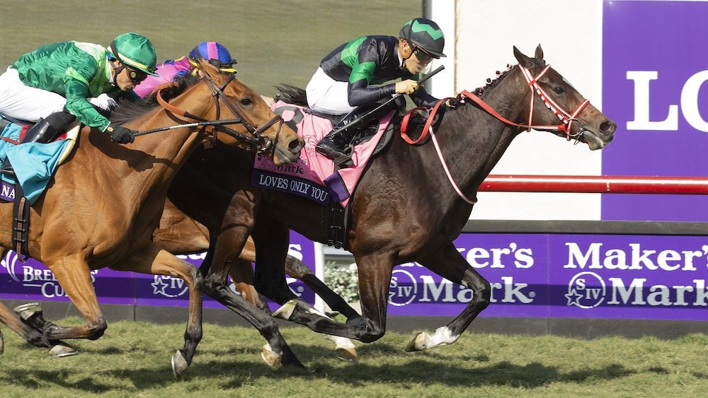 Breeders’ Cup Filly & Mare Turf: All You Need to Know. US Racing, all you need for Every Race; Expert Picks, Official Odds and Breaking News.