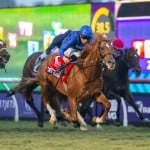 Sensational Saudi Cup: Forever Young Edges Romantic Warrior