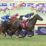 Sensational Saudi Cup: Forever Young Edges Romantic Warrior