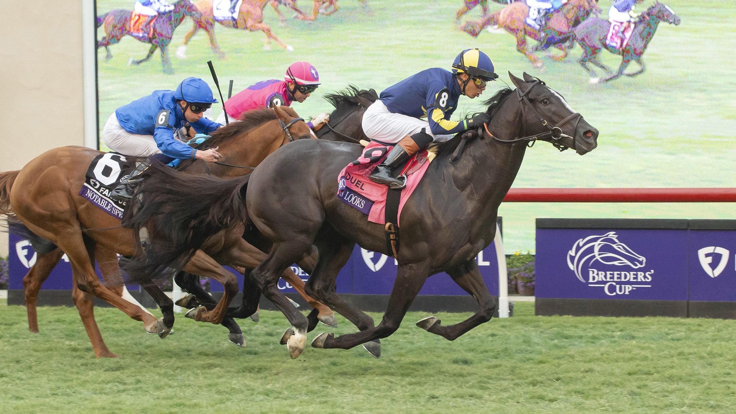 Breeders’ Cup Mile Betting Analysis, Preview and Winners. US Racing, all you need for Every Race, Expert Picks, and Official Odds