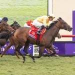 Sensational Saudi Cup: Forever Young Edges Romantic Warrior