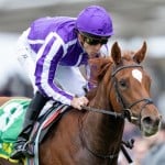 Sensational Saudi Cup: Forever Young Edges Romantic Warrior