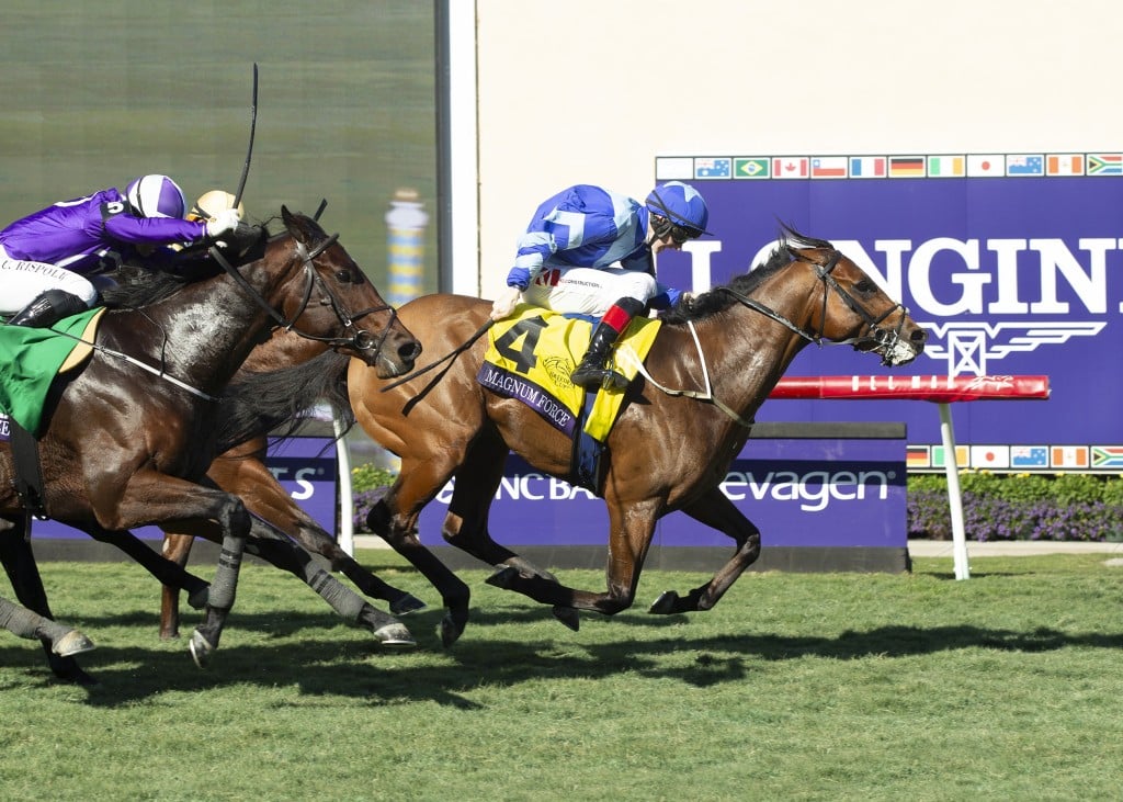 Breeders’ Cup Juvenile Turf Sprint Betting, History. US Racing, all you need for every race, the best Picks and Official Odds.