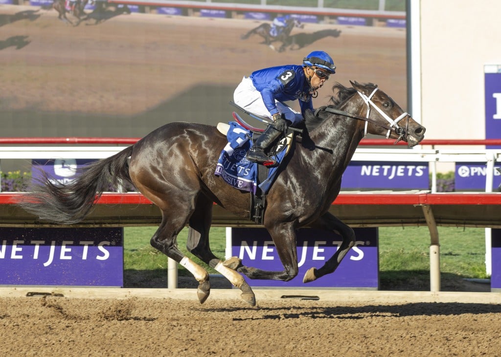 Breeders’ Cup Juvenile Fillies Betting, Trends, History. US Racing, all you need for every race, the best picks and Official Odds.