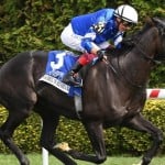 Sensational Saudi Cup: Forever Young Edges Romantic Warrior