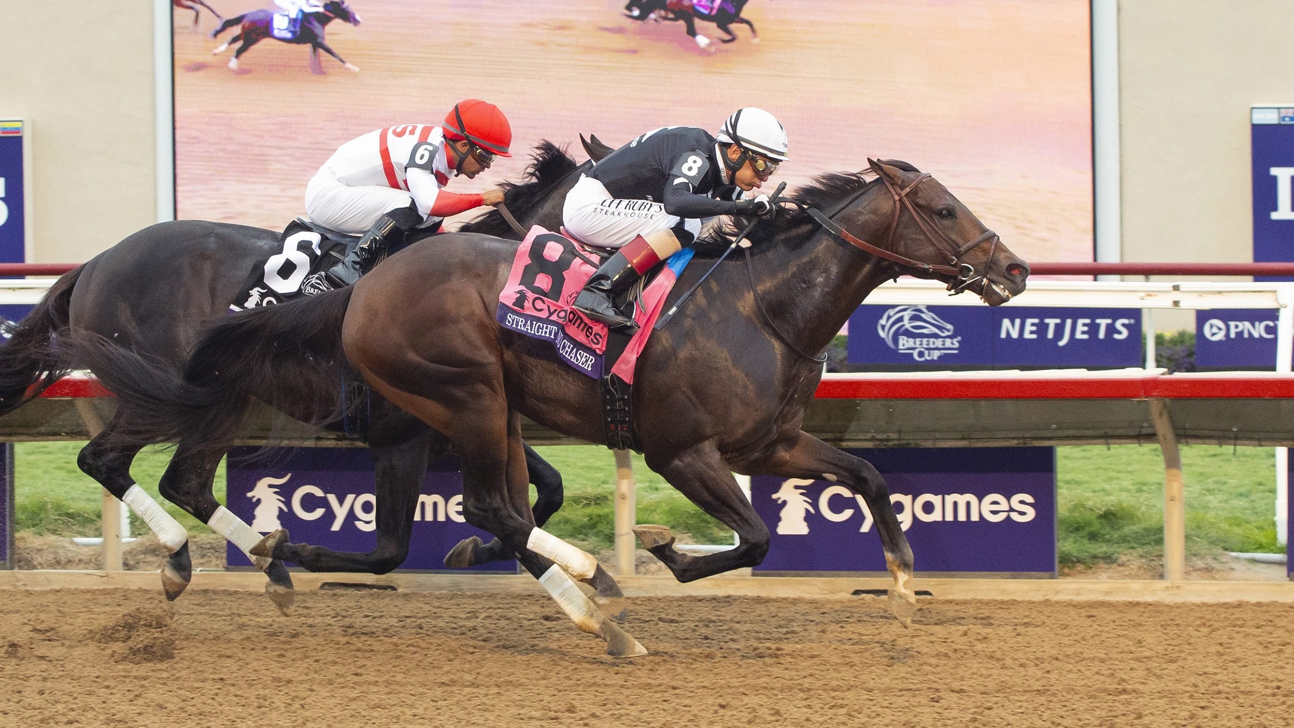 Breeders’ Cup Sprint Betting Trends and Historic Payouts. US Racing, all you need for every race, Expert Picks, and Official Odds.