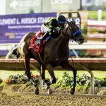Sensational Saudi Cup: Forever Young Edges Romantic Warrior