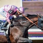 Sensational Saudi Cup: Forever Young Edges Romantic Warrior