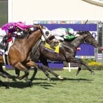 Sensational Saudi Cup: Forever Young Edges Romantic Warrior