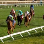 Sensational Saudi Cup: Forever Young Edges Romantic Warrior