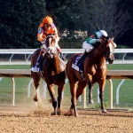 Sensational Saudi Cup: Forever Young Edges Romantic Warrior
