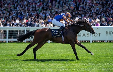 Breeders' Cup Juvenile Turf Sprint Horse by Horse Analysis. US Racing, all yo need for Every Race, Expert Picks, and Official Odds.