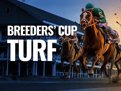 How to Watch the $4 Million Breeders' Cup Turf: Odds and Full Field Guide. US Racing, all you need for Every Race.