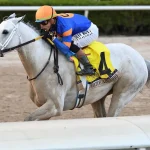 Sensational Saudi Cup: Forever Young Edges Romantic Warrior