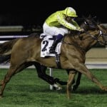 Sensational Saudi Cup: Forever Young Edges Romantic Warrior